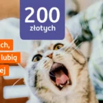 Konto ING premia na start