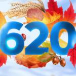 CitiKonto Citibank premia listopad 2024
