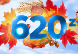 CitiKonto Citibank premia listopad 2024